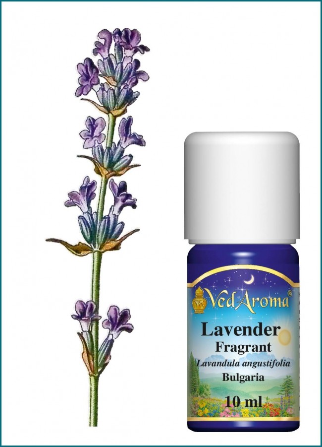 Aroma Veda Organic Lavender Pure Essential Oil -1 圖片 2